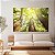 Quadros Decorativos Canvas Árvores na Floresta ao Amanhecer Horizontal - Imagem 2