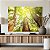 Quadros Decorativos Canvas Árvores na Floresta ao Amanhecer Horizontal - Imagem 5