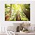 Quadros Decorativos Canvas Árvores na Floresta ao Amanhecer Horizontal - Imagem 4