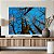 Quadro Decorativo Canvas  Árvores com Galhos Seco e Céu Azul Horizontal - Imagem 5