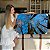 Quadro Decorativo Canvas  Árvores com Galhos Seco e Céu Azul Horizontal - Imagem 7