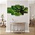 Quadros Decorativos Copa Árvore Folhas Verdes Floresta 115x60 - Imagem 2