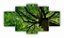Quadros Decorativos Copa Árvore Folhas Verdes Floresta 115x60 - Imagem 3