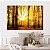 Quadro Decorativo Canvas Bosque De Outono Horizontal - Imagem 3