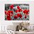 Quadro Decorativo Canvas Papoula Vermelhas Natureza Horizontal - Imagem 3