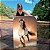 Quadro Decorativo Canvas Cavalo Marrom ao Por do Sol Vertical - Imagem 1