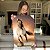 Quadro Decorativo Canvas Cavalo Marrom ao Por do Sol Vertical - Imagem 5