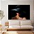 Quadro Decorativo Canvas Mulher Beleza Feminina Rosto Misterioso Chapéu Preto Horizontal - Imagem 5