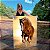 Quadro Decorativo Canvas Animal Cavalo Marrom Selvagem ao Por do Sol Vertical - Imagem 1