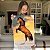 Quadro Decorativo Canvas Animal Selvagem Cavalo Marrom Empinando Vertical - Imagem 5