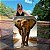 Quadro Decorativo Canvas Animal Selvagem Elefante Caminhando na Estrada Vertical - Imagem 1