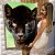Quadro Decorativo Canvas Animal Selvagem Pantera Negra Olhos Amarelos Fundo Verde Vertical - Imagem 6