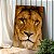 Quadro Decorativo Canvas Leão Animal Selvagem Rei Floresta Vertical - Imagem 4