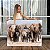 Quadro Decoração Canvas Paisagem Manada de Elefantes Caminhando Horizontal - Imagem 1