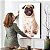 Quadro Decorativo Flutuante Dog Pug Pets Vertical - Imagem 3