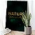 Quadro Decorativo Flutuante Botânico Nature Botanical Mood - Imagem 2