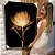 Quadro Decorativo Flutuante Floral Rosa Raio X Fundo Preto - Imagem 1