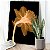 Quadro Decorativo Flutuante Floral Raio X Fundo Preto - Imagem 3