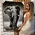 Quadro Decorativo Flutuante Animais Elefante Preto e Branco - Imagem 1