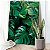 Quadro Decorativo Flutuante Botânico Folhas Costela-de-Adão - Imagem 2