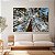 Quadro Decorativo Canvas Paisagem de Palmeiras Horizontal - Imagem 3