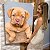 Quadro Decorativo Flutuante Pet Cachorro Filhote Bordeaux Bebe Chien Vertical - Imagem 1