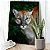 Quadro Decorativo Flutuante Animal Selvagem Face Frontal Puma Olhos Verdes Vertical - Imagem 2