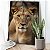 4004] Quadro Decorativo Flutuante Leoa Colorida - Imagem 2