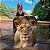 1017] Quadro Decorativo Canvas Animal Selvagem Leoa Colorida Vertical - Imagem 2