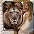 4004] Quadro Decorativo Flutuante Animal Silvestre Leão Colorido - Imagem 1