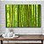 Quadro Decorativo Flutuante Bosque De Bambu Horizontal - Imagem 4