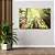 Quadro Decorativo Flutuante Árvores na Floresta ao Amanhecer Horizontal - Imagem 2