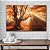 Quadro Decorativo Flutuante Bosque De Outono Natureza Horizontal - Imagem 4
