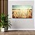 Quadro Decorativo Flutuante Paisagem Campo de Trigo Horizontal - Imagem 2