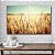 Quadro Decorativo Flutuante Paisagem Campo de Trigo Horizontal - Imagem 4