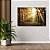 Quadro Decorativo Flutuante Paisagem Natureza Bosque ao Amanhecer Horizontal - Imagem 2