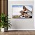 Quadro Decorativo Flutuante Animal Selvagem Casal de Tigres Sobre a Pedra Horizontal - Imagem 2