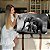 Quadro Decorativo Flutuante Animal Selvagem  Elefantes Pai e Filhote Horizontal - Imagem 1