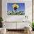 Quadro Decorativo Flutuante Natureza Floral Cacto em Flor Amarela Horizontal - Imagem 3