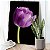 Quadro Decorativo Flutuante Floral Flor Tulipa Roxa com Fundo Preto Vertical - Imagem 2