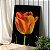 Quadro Decorativo Canvas Floral Flor Tulipa Laranja com Fundo Preto Vertical - Imagem 1