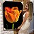 Quadro Decorativo Canvas Floral Flor Tulipa Laranja com Fundo Preto Vertical - Imagem 5