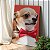 Quadro Decorativo Canvas Dog Chihuahua Pets Fundo Vermelho Vertical - Imagem 4