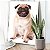 Quadro Decorativo Canvas Dog Pug Pets Vertical - Imagem 4