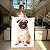 Quadro Decorativo Canvas Dog Pug Pets Vertical - Imagem 7