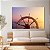 Quadro Decorativo Canvas Paisagem de Timão Ao Por do Sol Horizontal - Imagem 3
