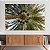 Quadro Decorativo Canvas Paisagem da Copa da Palmeira Horizontal - Imagem 3