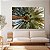 Quadro Decorativo Canvas Paisagem da Copa da Palmeira Horizontal - Imagem 2