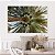 Quadro Decorativo Canvas Paisagem da Copa da Palmeira Horizontal - Imagem 5
