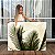 Quadro Decorativo Canvas Paisagem Folhas de Palmeiras Horizontal - Imagem 1